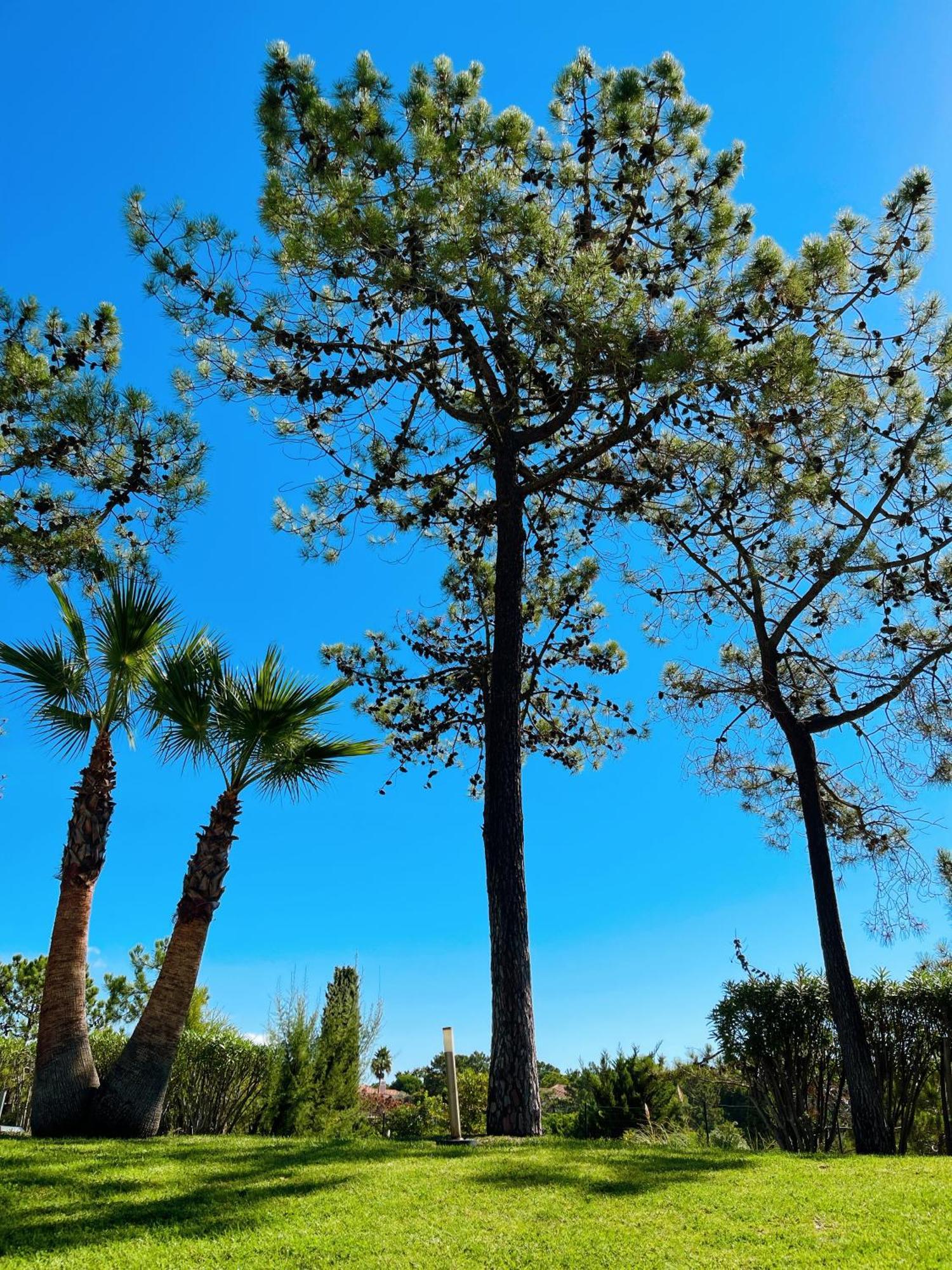 Scarlet'S Place - 1 Bed Victory Village Quinta Do Lago - Beach, Nature, Lakes Quinta do Lago Exterior foto